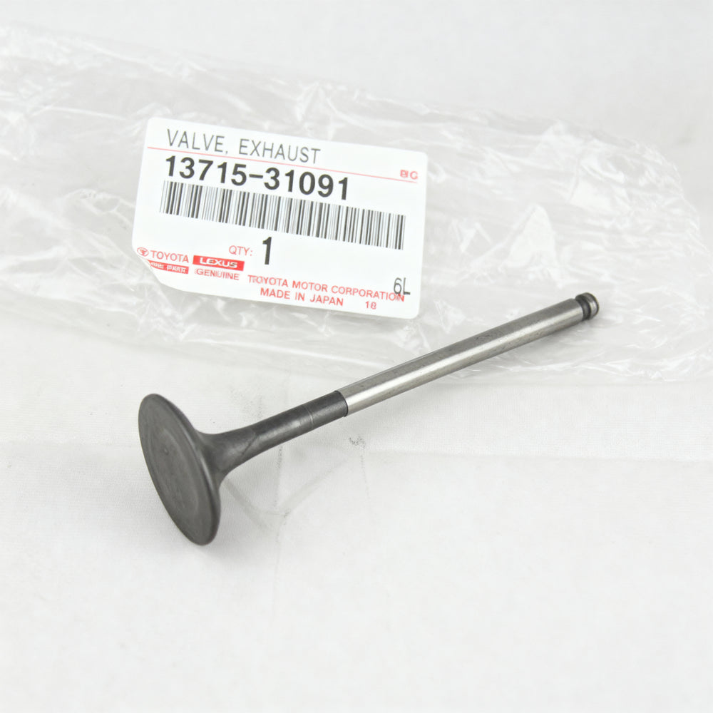 VALVE, EXHAUST: 1371531091