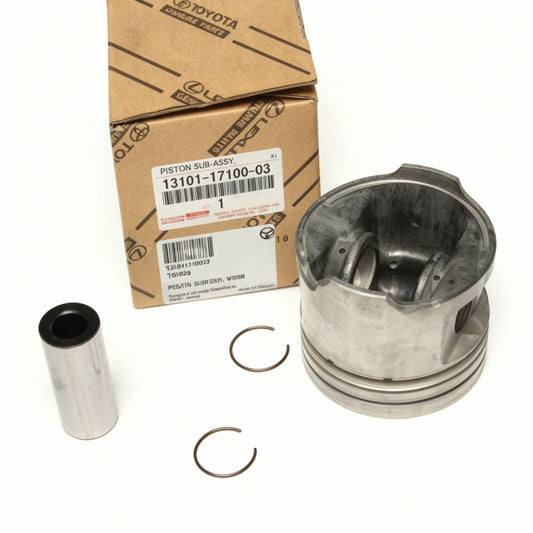 PISTON SUB-ASSY, W/PIN : 131011710003