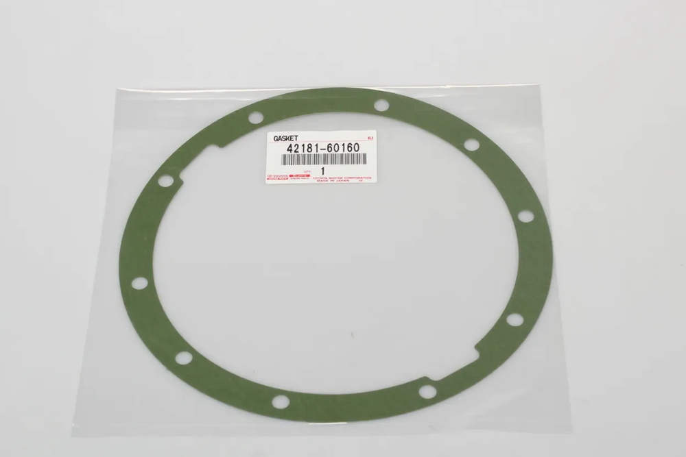 GASKET DIFFERENTIAL: 4218160160